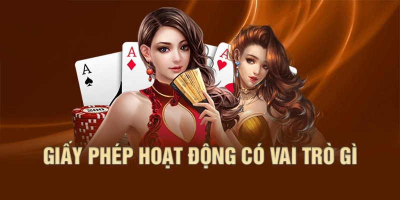 Giấy phép hoạt động cung cấp những gì?